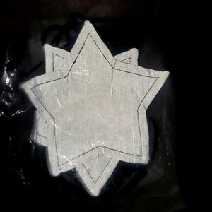 festival star pasties